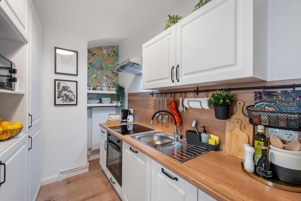 Apartament Spacious & Elegant 3 Bedroom